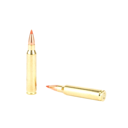 Varmint Express .223 Rem, 55gr V-Max