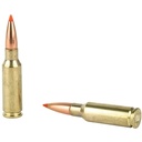 6.5 Grendel, 123gr SST