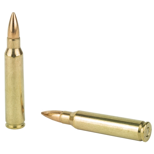 .223 Remington 55gr FMJ