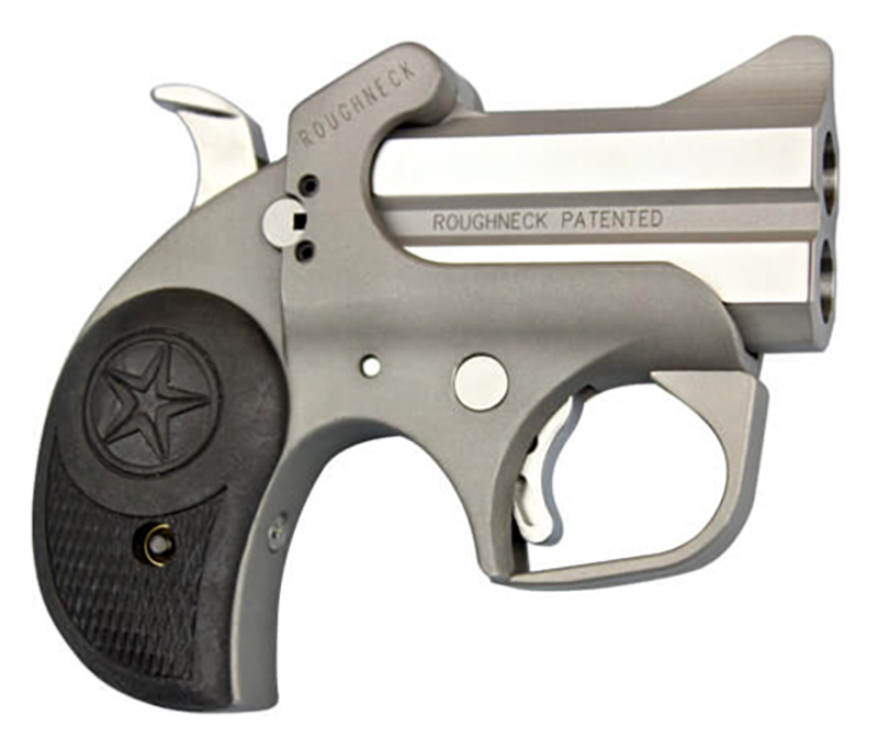 Bond Arms Roughneck .357 Mag Stainless