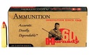 Hornady Custom .450 Bushmaster, 250gr FTX