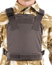 Blackhawk Low Vis Plate Carrier - Black